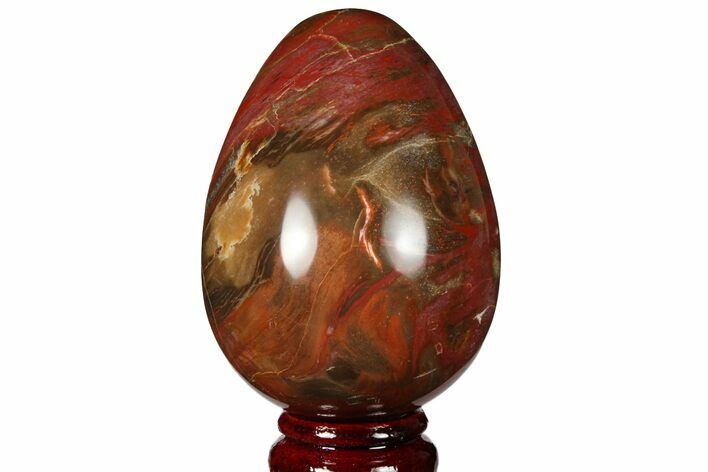 Colorful, Polished Petrified Wood Egg - Triassic #133933